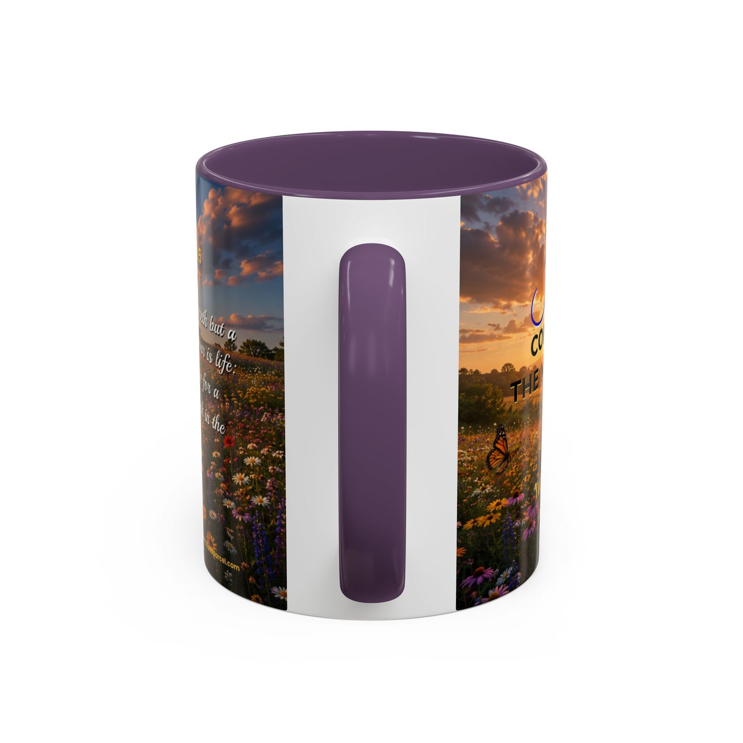 JOY Scripture Mug - Accent Coffee Mug (11, 15oz)
