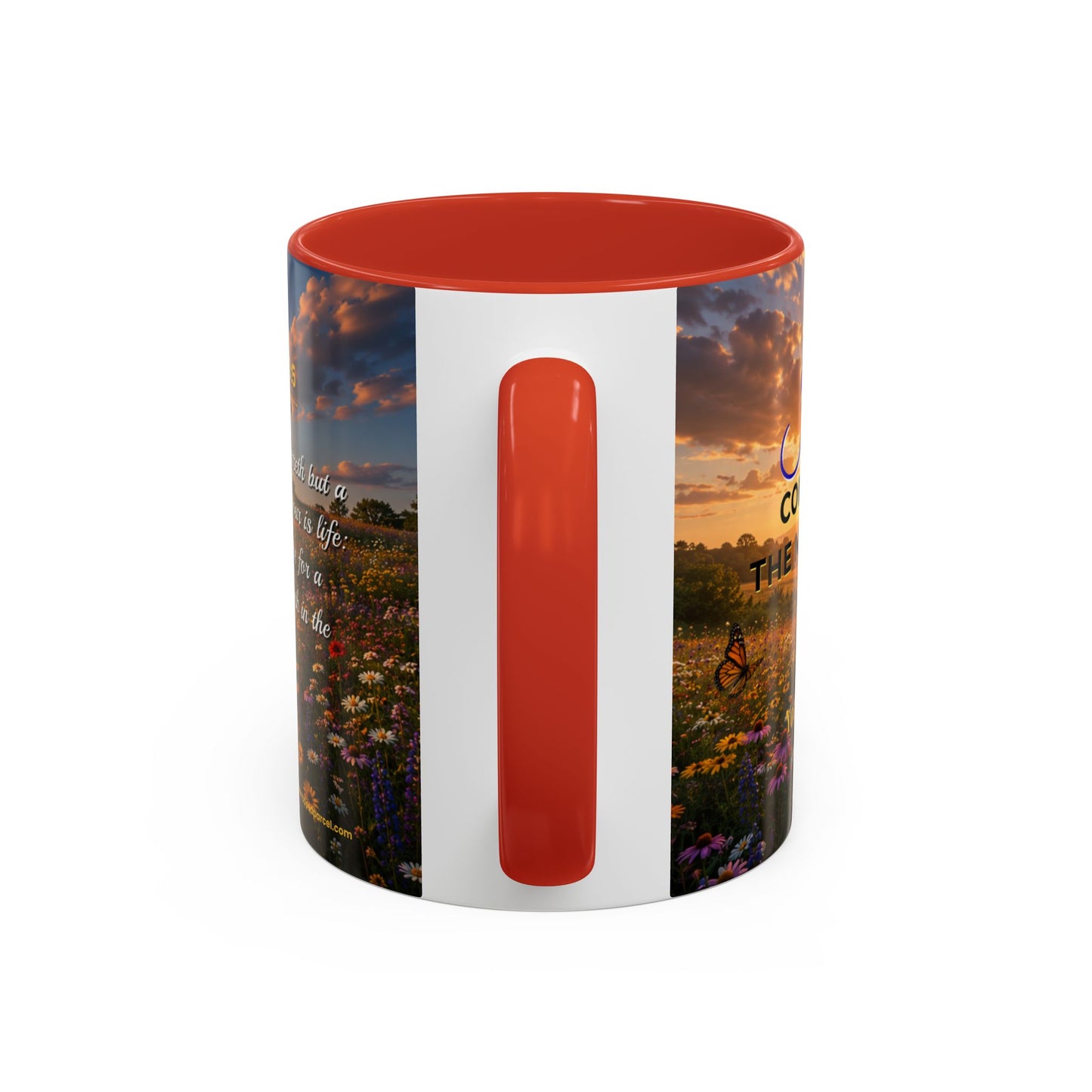 JOY Scripture Mug - Accent Coffee Mug (11, 15oz)