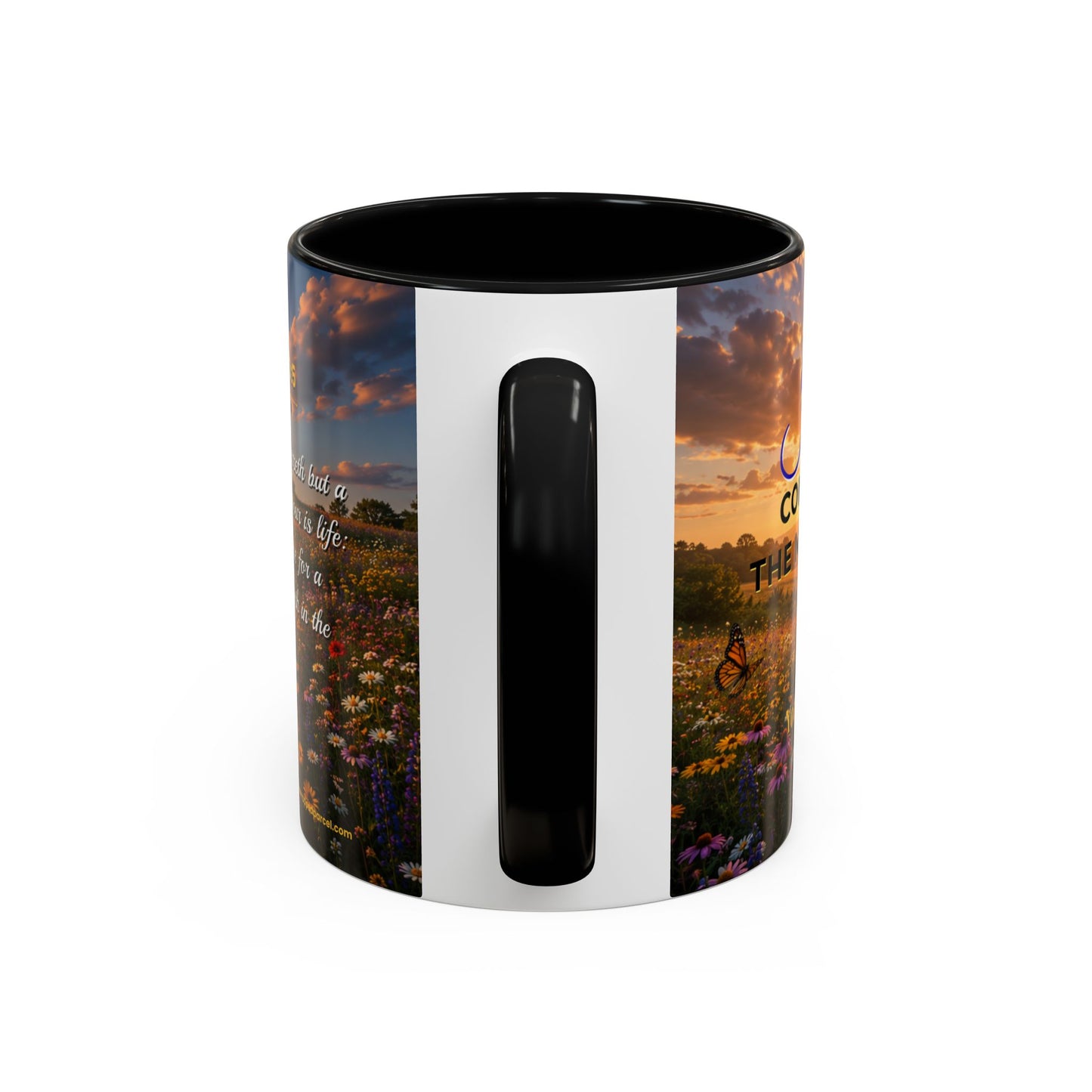 JOY Scripture Mug - Accent Coffee Mug (11, 15oz)