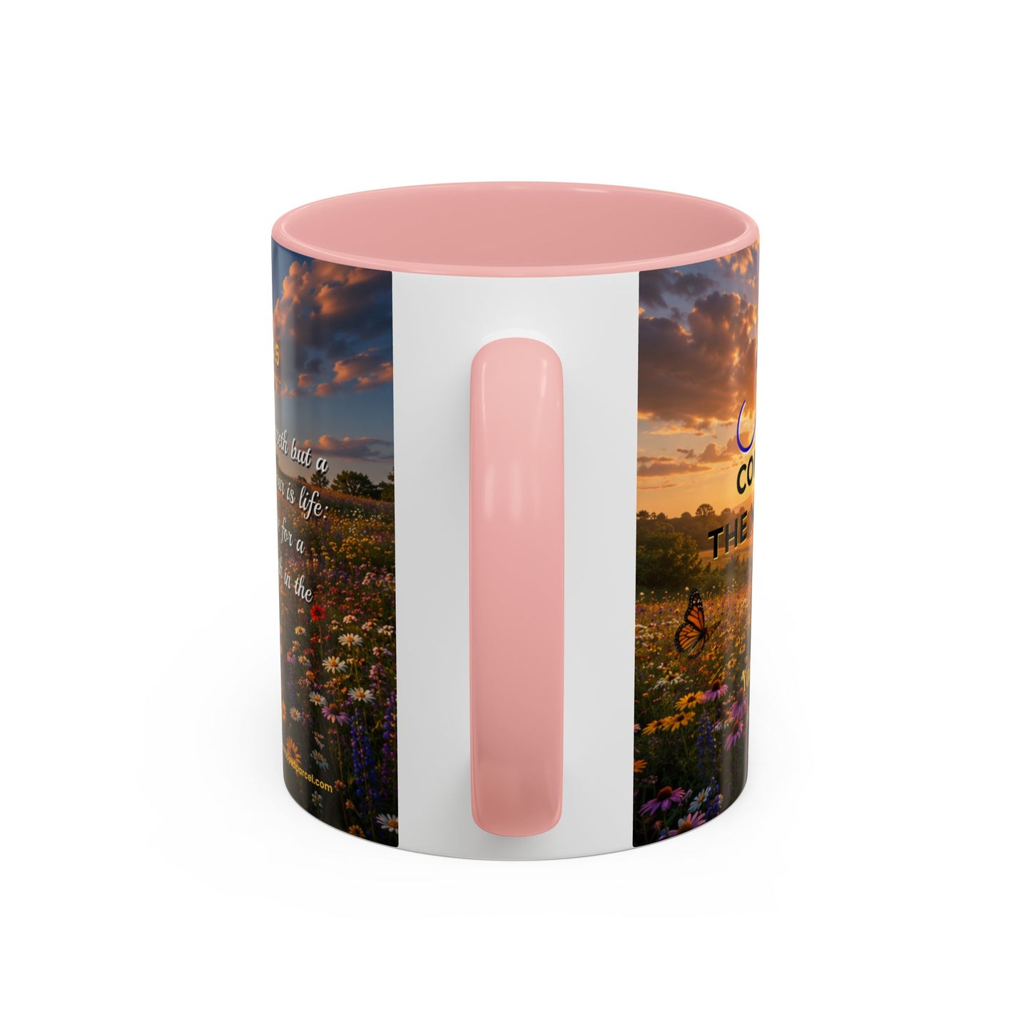 JOY Scripture Mug - Accent Coffee Mug (11, 15oz)